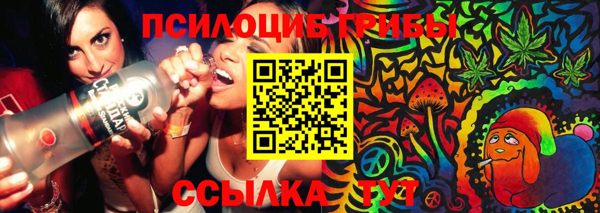Псилоцибиновые грибы мицелий Жигулёвск